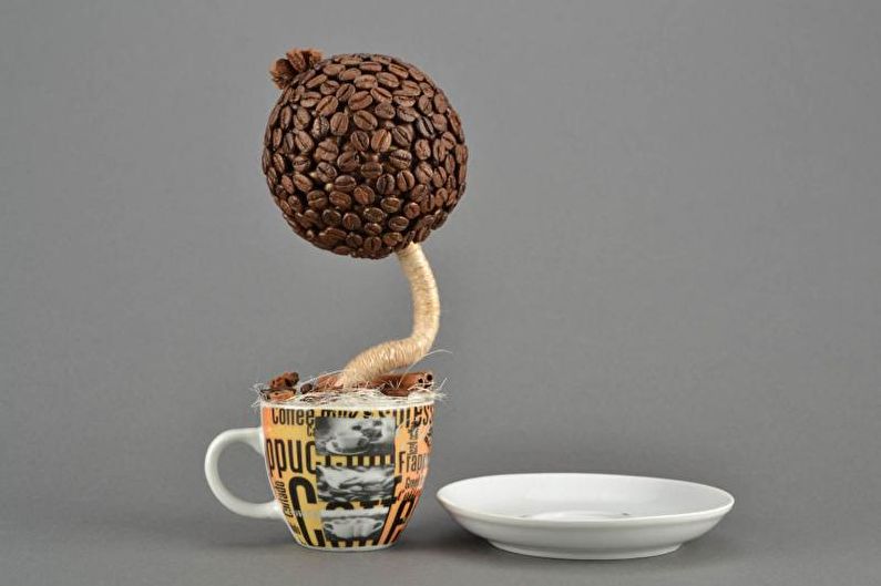 Topiaire de café bricolage (caféier) - photo