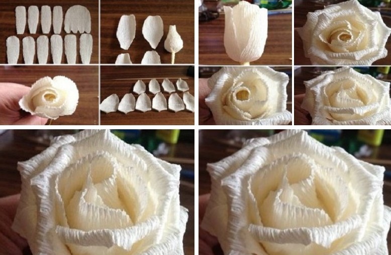 Fleurs en papier bricolage - Roses
