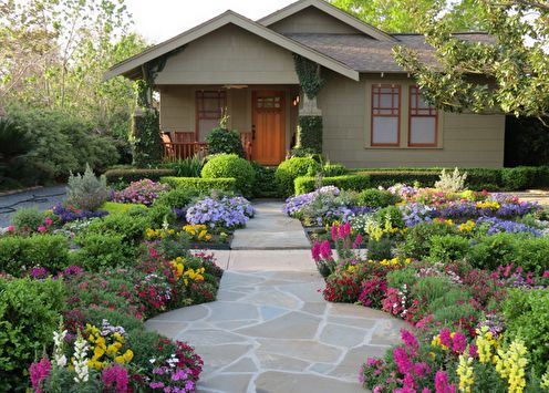 Fleurs pour une résidence d'été: caractéristiques, types, idées pour un jardin fleuri