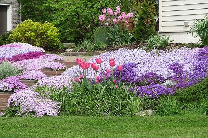 Fleurs vivaces pour le jardin et l'été - Les bienfaits de la plantation