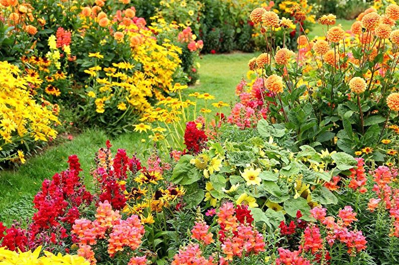 Fleurs vivaces pour le jardin et l'été - Les bienfaits de la plantation