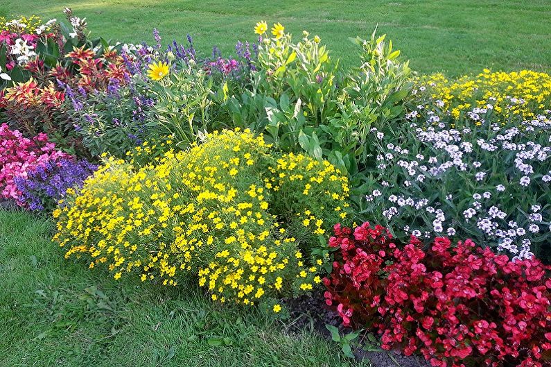 Comment faire un parterre de fleurs vivaces pour donner et jardiner