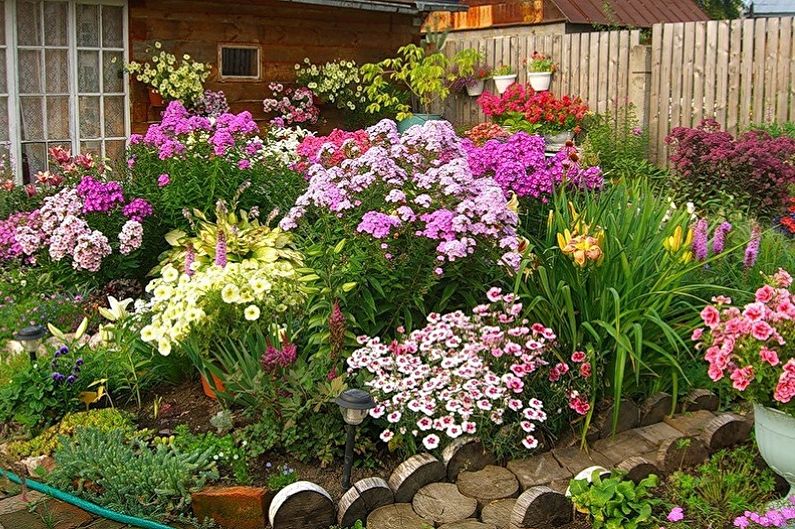Fleurs vivaces pour le jardin et le jardin - photo