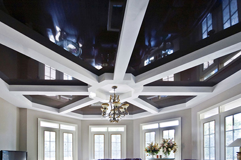 Plafonds en plaques de plâtre combinées dans le salon