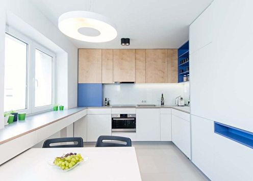 Conception de cuisine dans le style du minimalisme (100 photos)